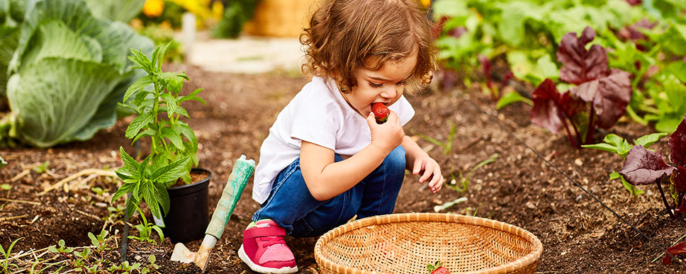 genesis-gardening-643644650-968x387