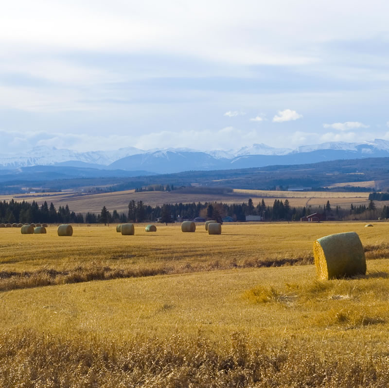 Rocky View County